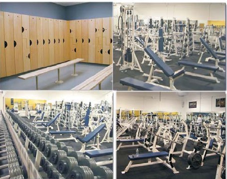 Franchise Peluang Usaha Rebel Gym Franchise Peluang Usaha Rebel Gym
