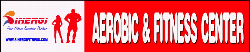 sinergi fitness logo