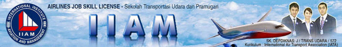IIAM logo