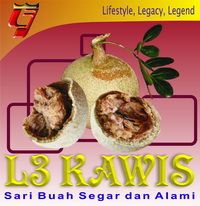 Logo L3 KAWIS