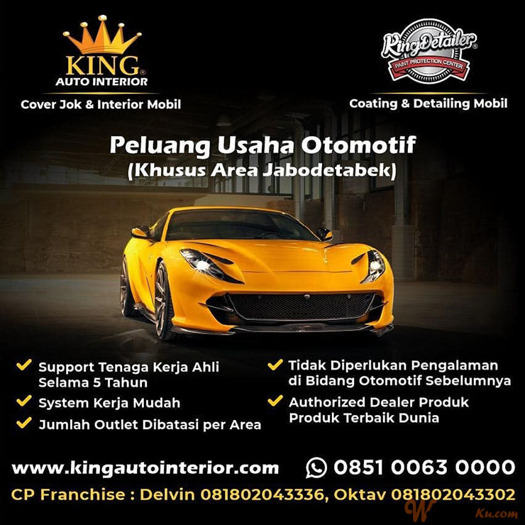 Franchise King Detailer ~ Peluang Bisnis Otomotif Paint Protection
