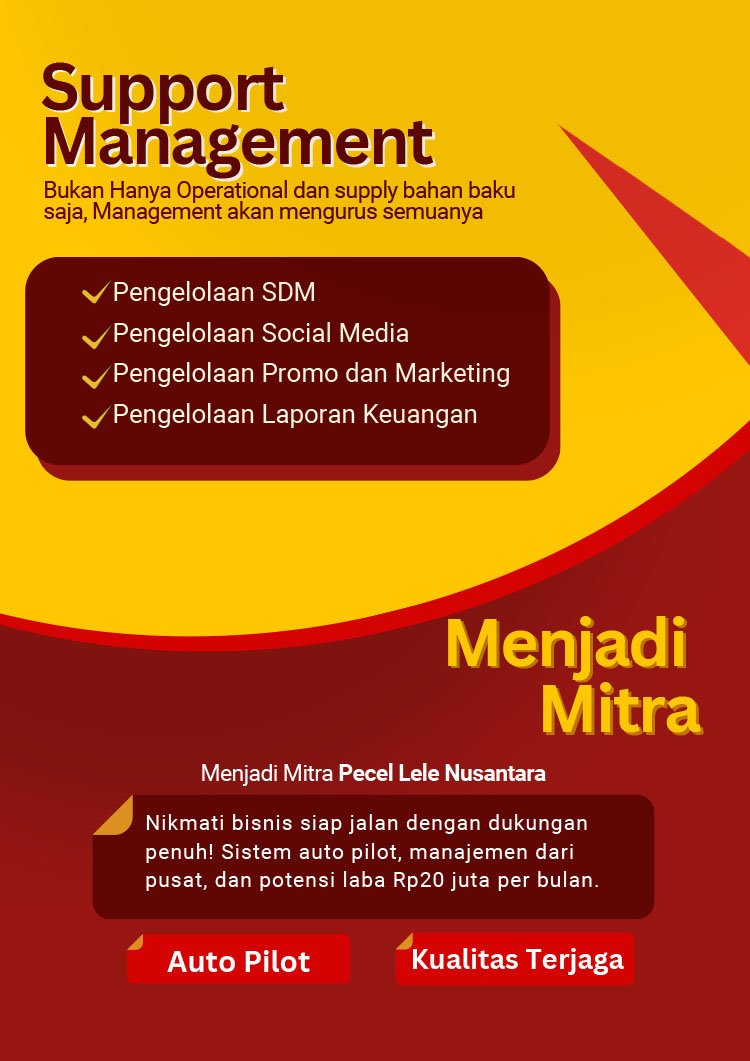 Kemitraan Peluang Bisnis Warung Pecel Lele Nusantara Bisnis Autopilot