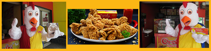 Peluang Usaha Bisnis Makanan Fast Food ~ ORCHI Fried Chicken