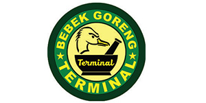 Logo Bebek Terminal