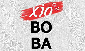 Logo XIOBOBA Indonesia